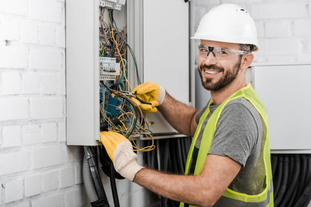 Best Electrical Rewiring Services  in Greenville, MI