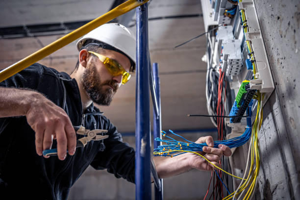 Best Electrical Upgrades for Homes  in Greenville, MI