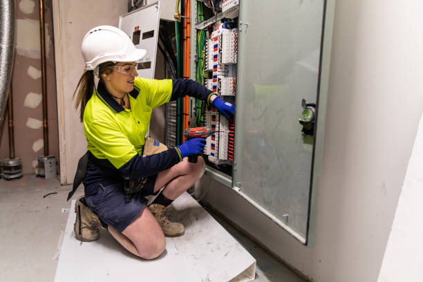 Best Electrical Repair Services  in Greenville, MI
